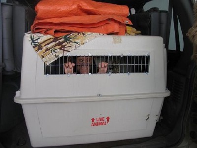 Jac on his way to quarantine area.jpg