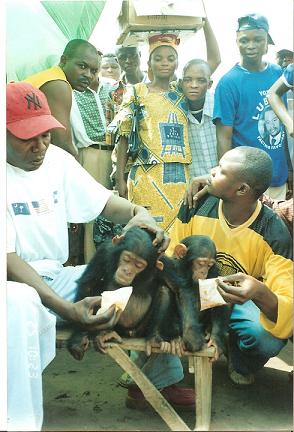 2chimps-for-sale-on-the-market-2006.jpg