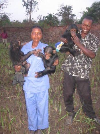 the babies introduced in their new enclosure.jpg