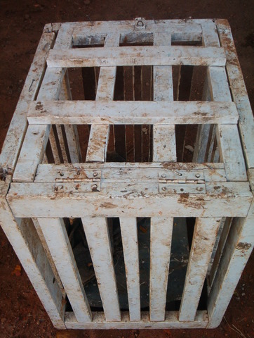 small-crate-for-two-chimps.jpg