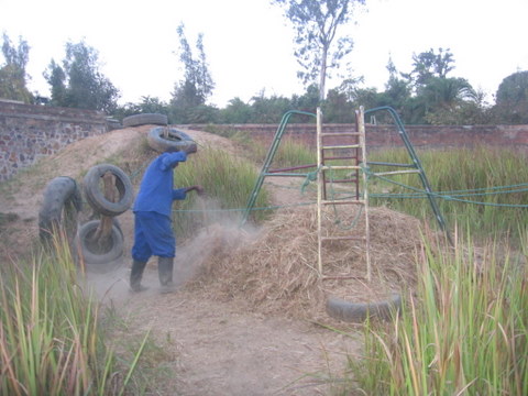isidore-collecting-straw-for-the-playground.jpg