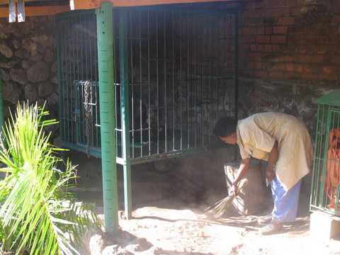 maguy-cleaning-the-quarantine-area.jpg