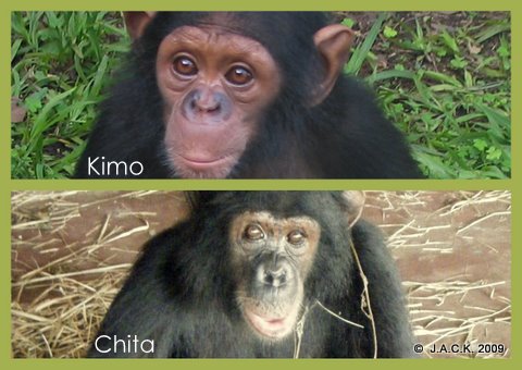 kimo-and-chita.jpg