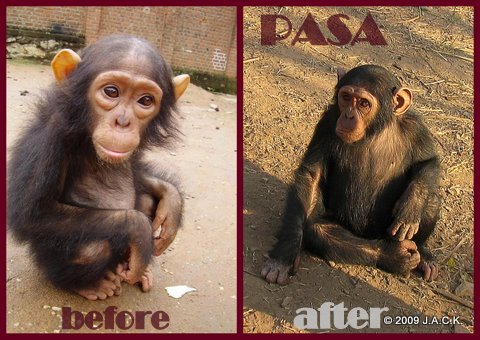 pasa-before-and-after.jpg