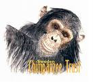 sweden-chimpanzee-trust.jpg