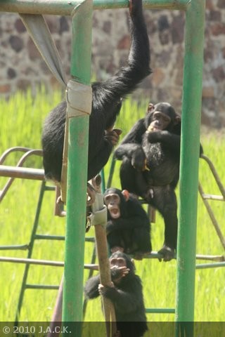 Mwisho, Pasa and Tongo