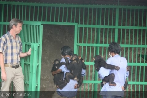 the babies entering their new quarantine facility