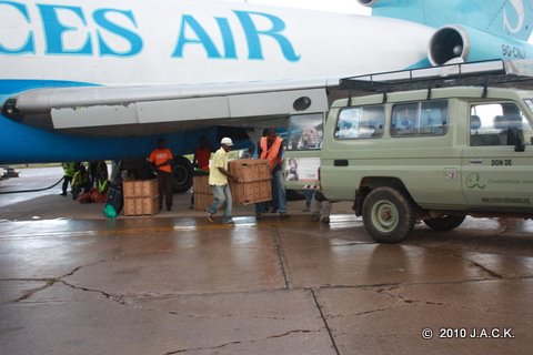 loading chimps in our car