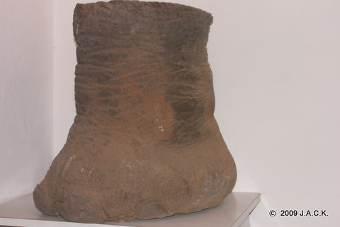 june 2009 - elephant foot