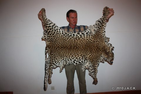 march 2010 - 1 leopard skin