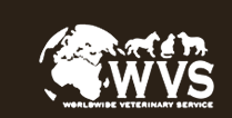 wvs_logo