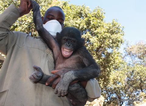 Papa Augustin & Chibo