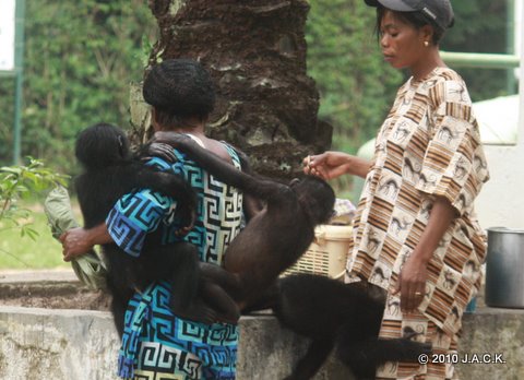 Chibo (right) on the back of Maman Micheline