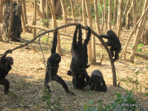 Elia (2nd left) playing with the others of the group