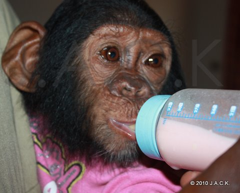 enjoying her milk bottle