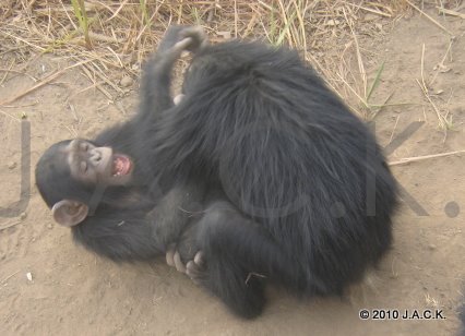 Elia & Vida playing