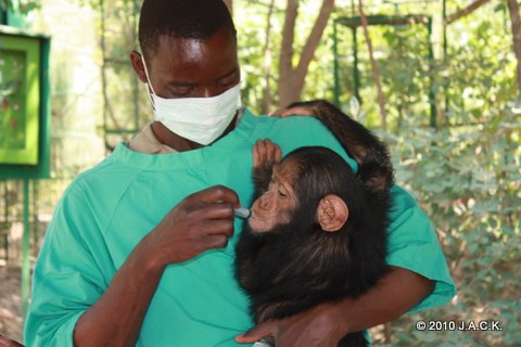 Tommy getting oral sedation