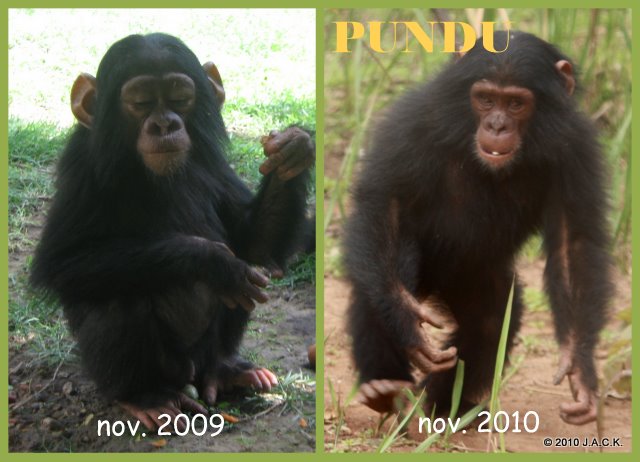 Pundu Pundu the first day he arrived end of November 2009 and 3 days ago in the group