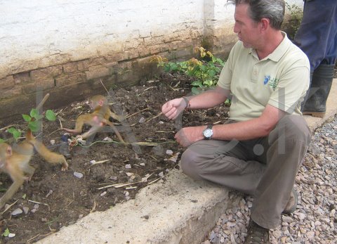 Franck trying to gain the baboons'trust