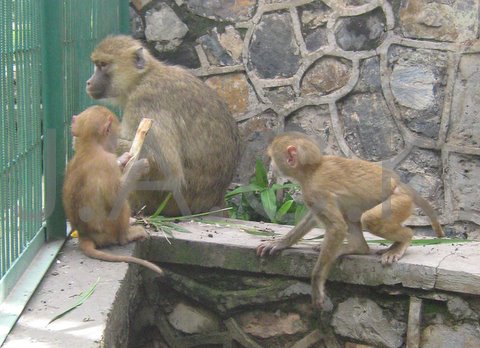 mum and 2 little ones