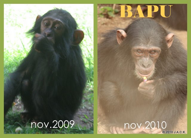 Bapu : the 1st day she arrived in November 2009 and 3 days ago