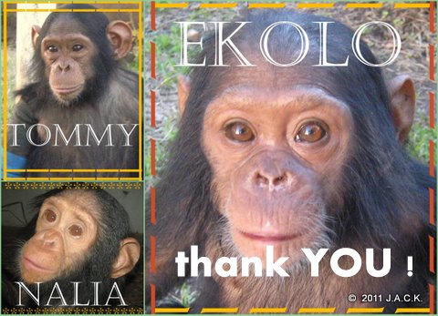 Tommy, Nalia & Ekolo say 'Thank YOU!'