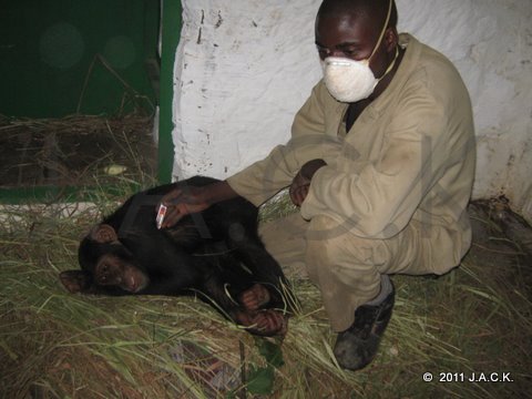 keeper Marcel checking Joma's temperature