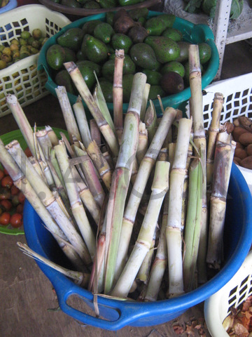 sugar cane cut and cleaned by Maman Angeline