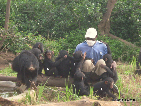 Papa Augustin & nursery group