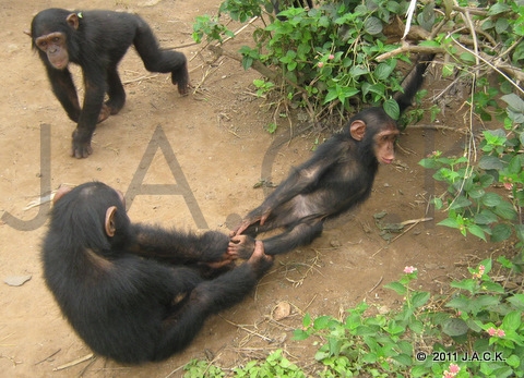 Pasa grabbing Nalia's feet