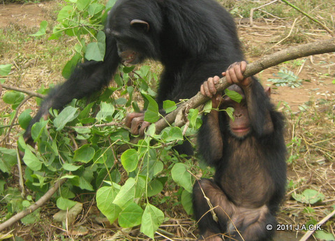 Elia teasing the little ones. Here, she is behind Ekolo and she actually hit Ekolo's back