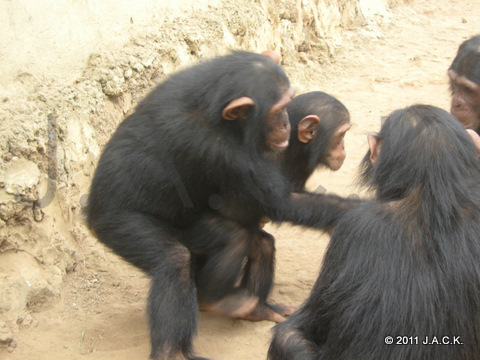 Pasa keeping Nalia close to him refusing the others to come closer