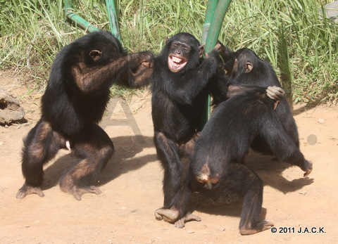 Mwisho beating up Kala who is protecting both Tika & Joma