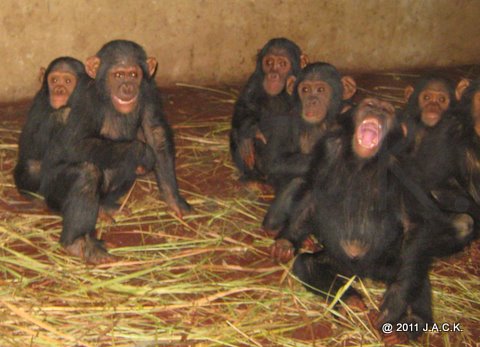 Maïka smiling and Bapu yawning... infants of the nursery group