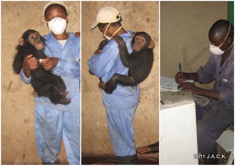 Bapu & Vida with Mama, Angeline & Papa Marcel temperatures are taken 3 times a day every day. Maman Angeline is carrying Bapu & Vida while Papa Marcel is writing temperatures down