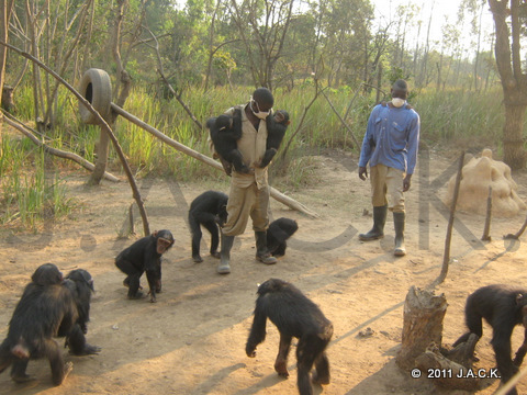 nursery group