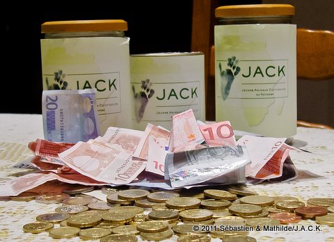 funds collected for the sanctuary of JACK