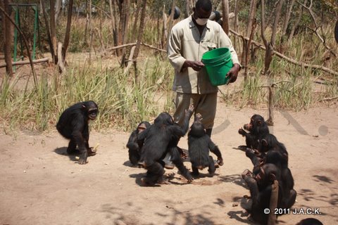 feeding time