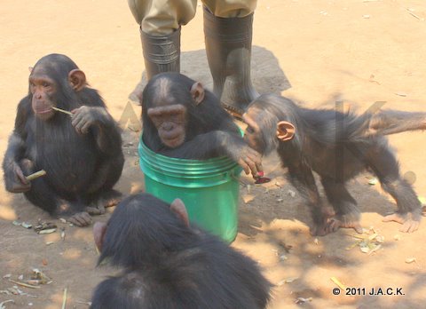 Ekolo (right) coming close to Santa