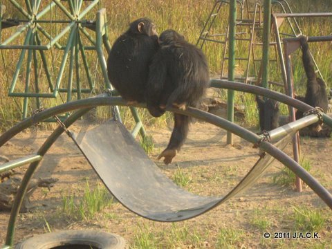 outdoor facility with steel playground