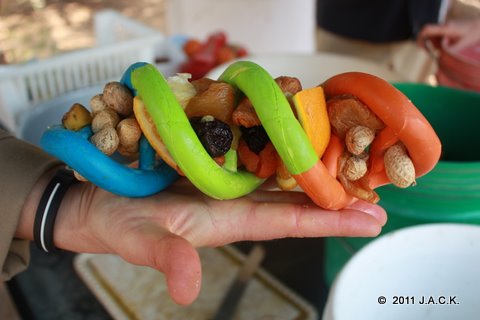 enrichment peanuts, raisins, dry apricots... the chimps were extremely spoiled!!!
