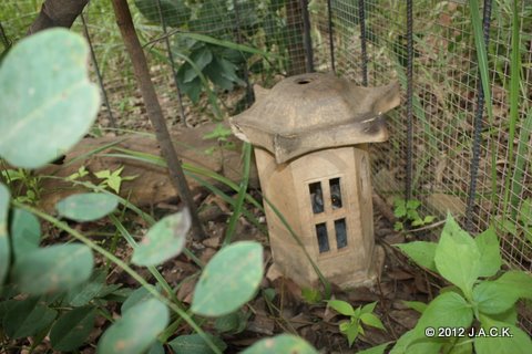 galago moved into another place