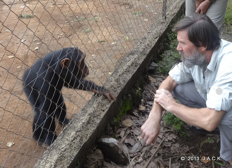 Dr Ian meeting chimp Pasa