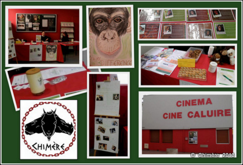 event - bring J.A.C.K. to the cinema - Feb.2013