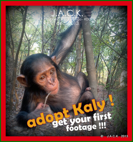 adopt baby Kaly