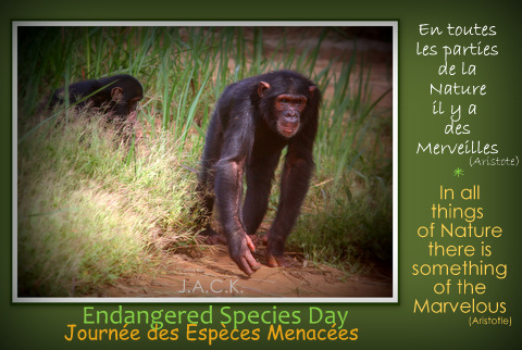Endangered species day