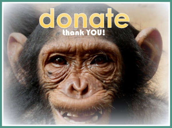 donate.2.2
