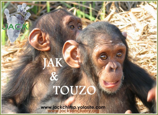 JAK & TOUZO