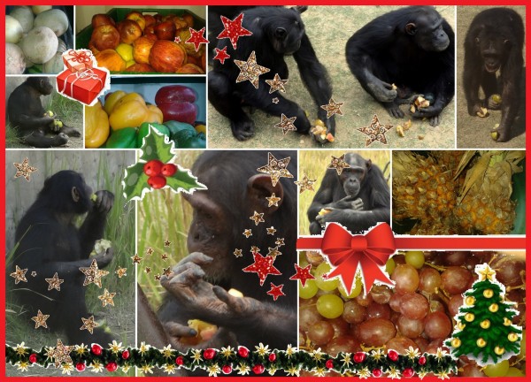 Xmas chimps-001