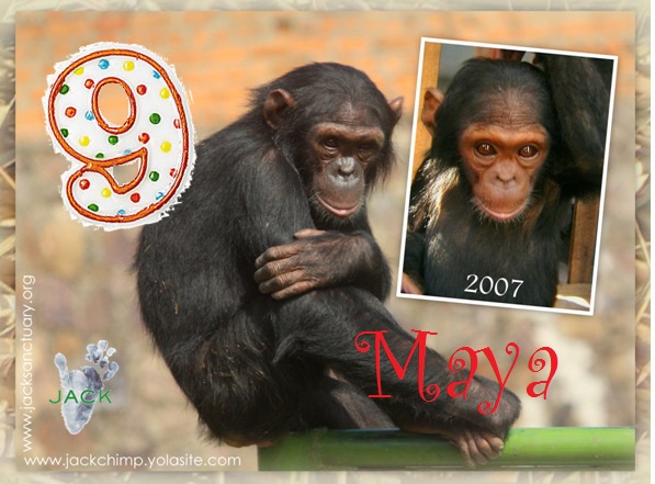 maya 9 ans